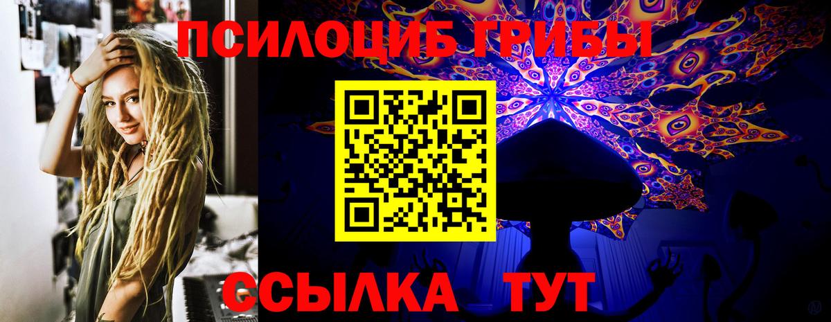 Псилоцибиновые грибы Psilocybe Заводоуковск