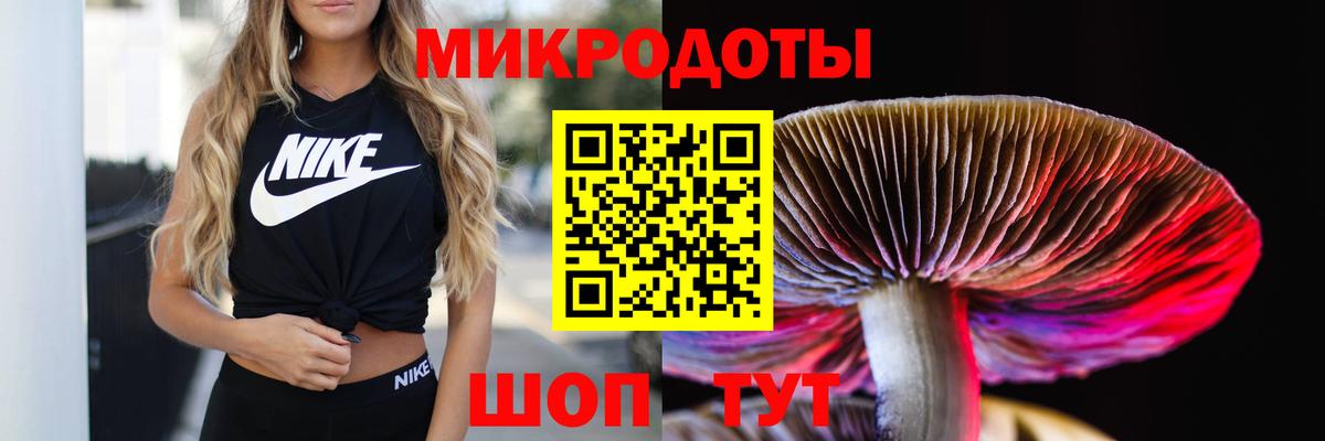 Галлюциногенные грибы GOLDEN TEACHER  Вход с VPN  Заводоуковск 